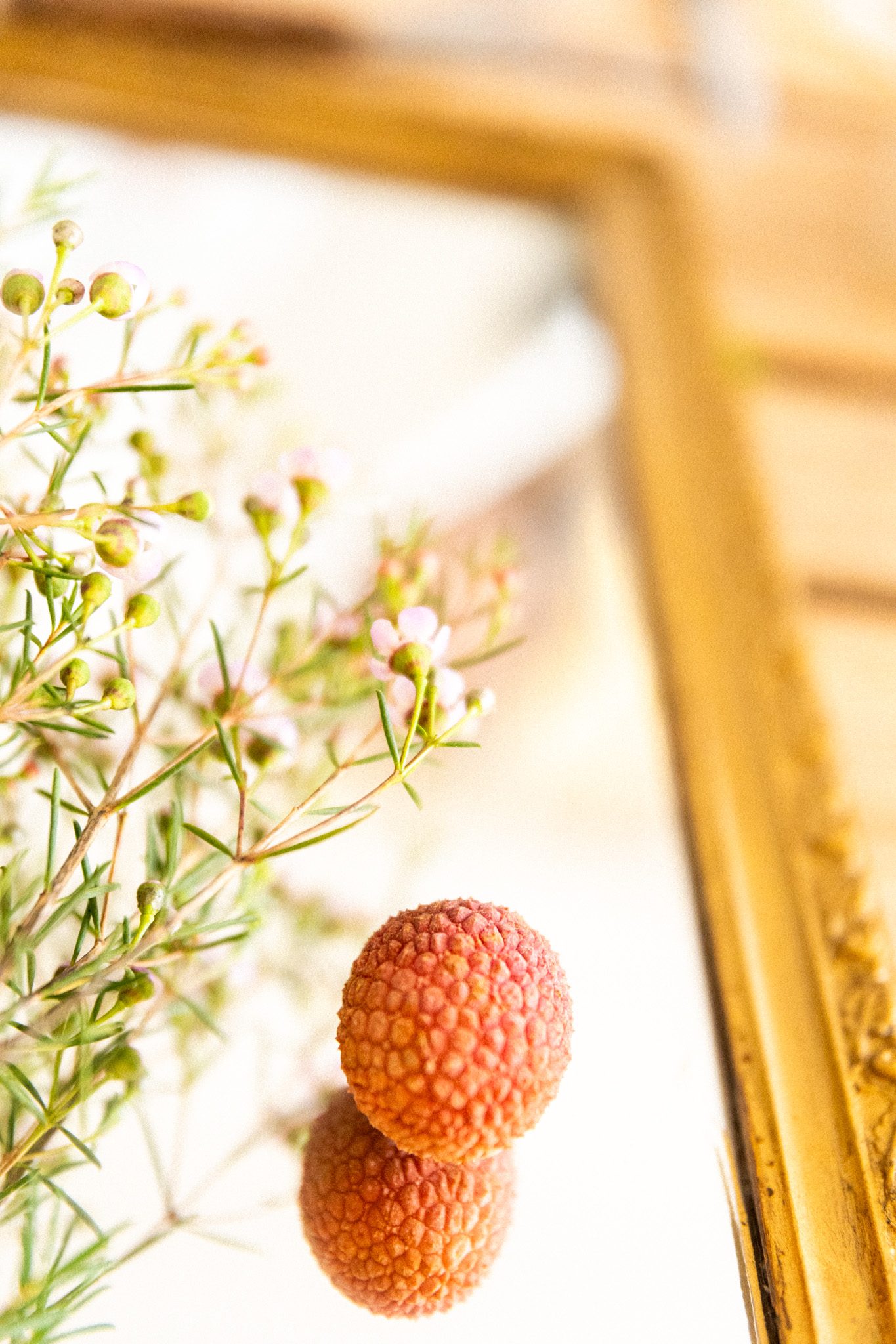 Litchis devant un cadre doré, branches de fleurs de cire en premier plan