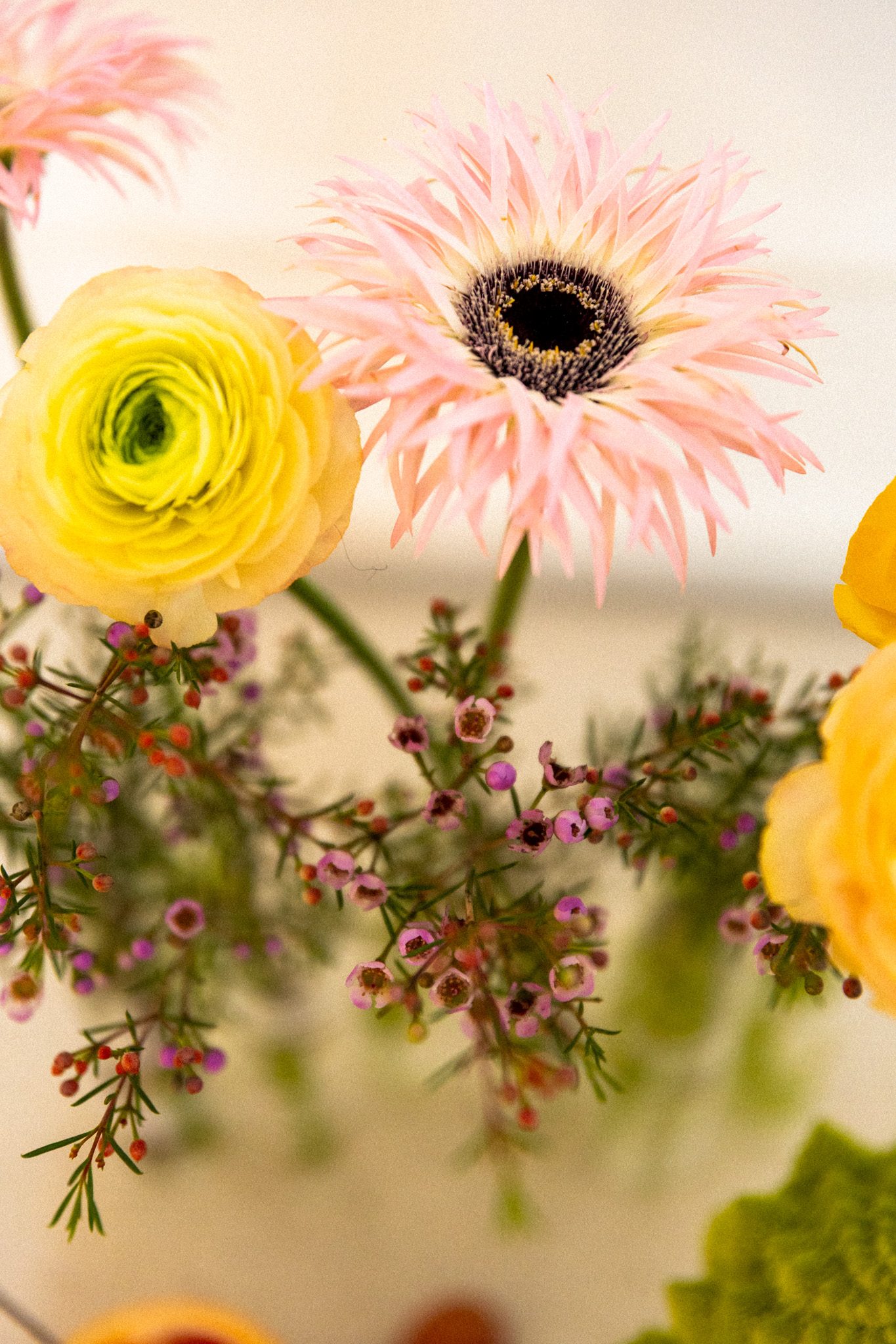 Composition florale : gerbera rose, renoncules jaunes et fleurs de cire