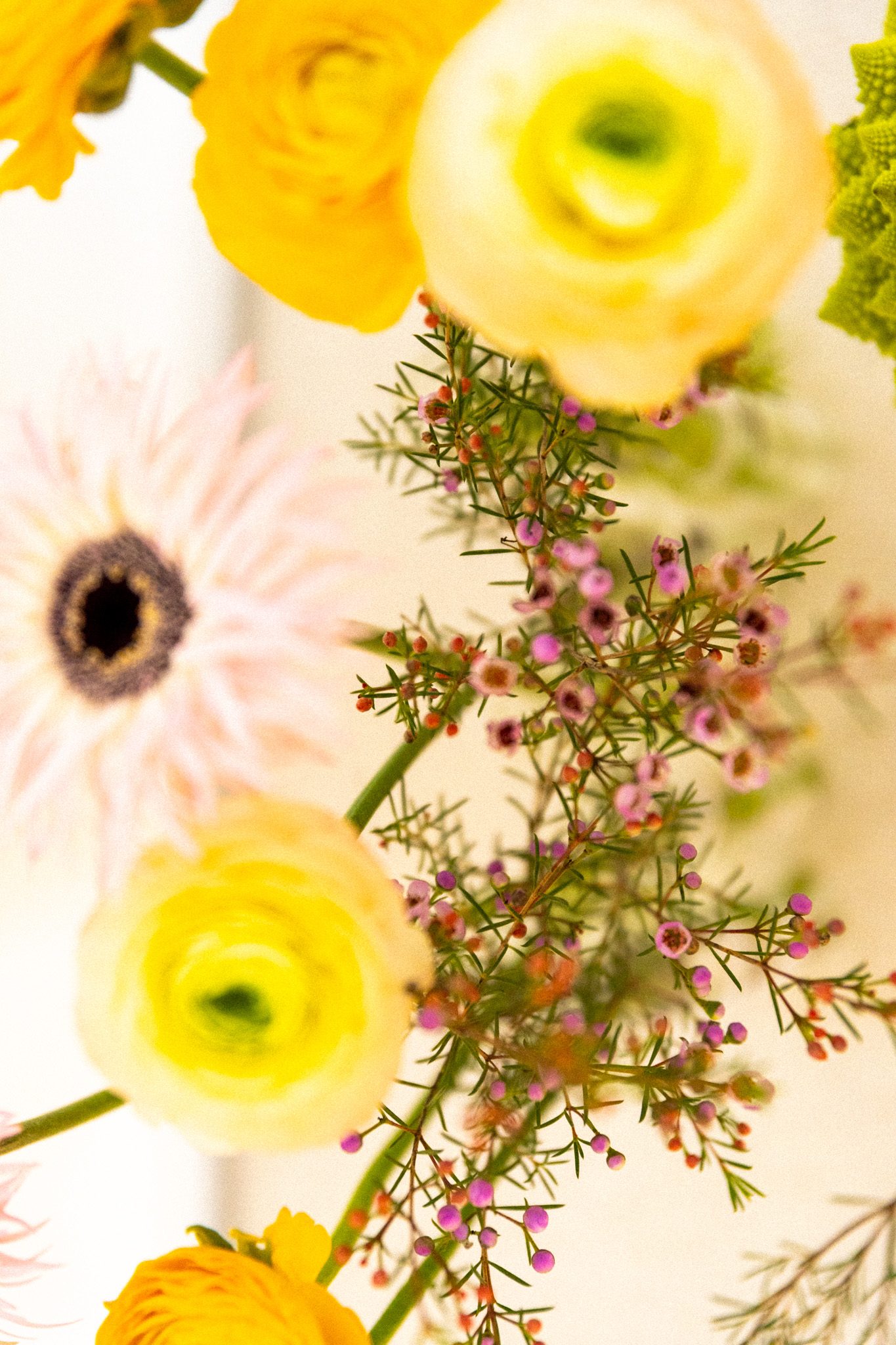 Composition florale jaune et rose : renoncules, gerbera et fleurs de cire