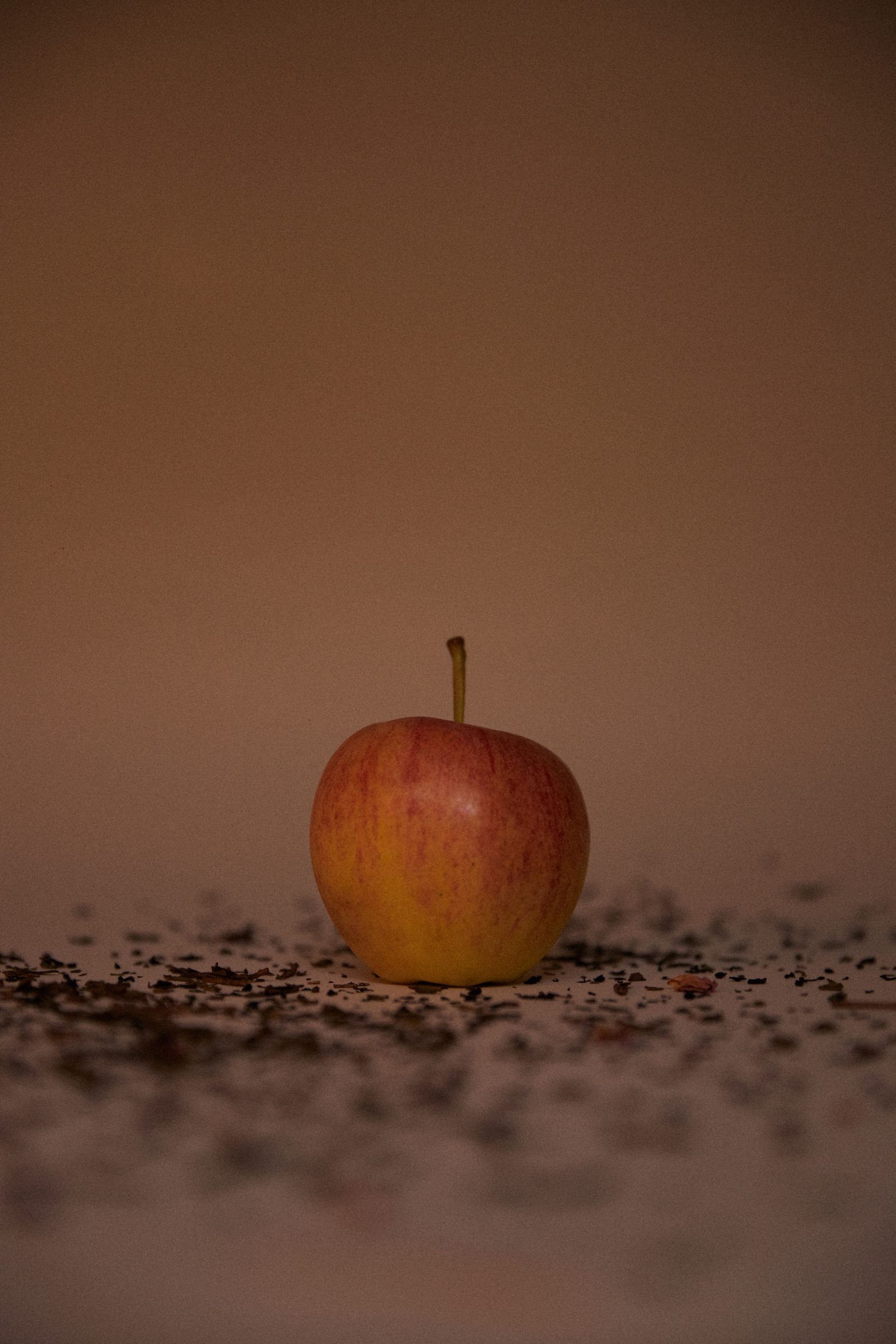 Pomme posée sur un lit de grains, éclairage rasant sur fond sombre