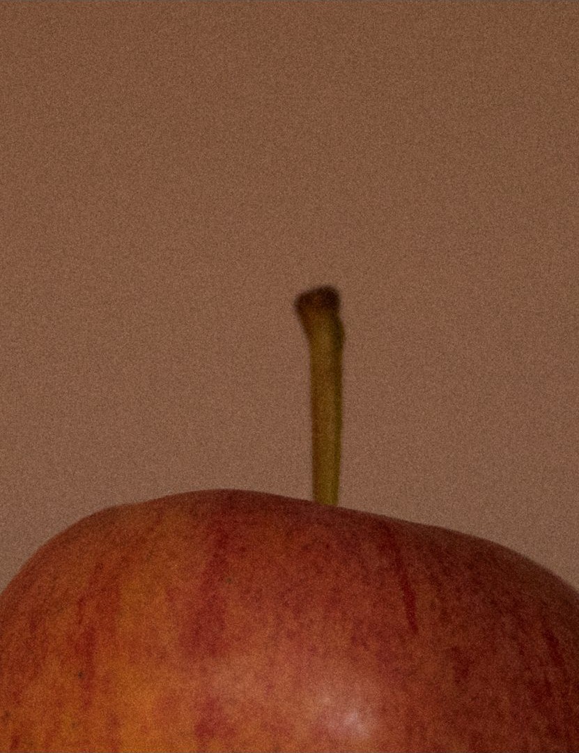 Gros plan sur le pédoncule d'une pomme rouge, fond brun